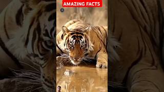 Amazing facts about animals  amazing facts  random facts factscorridor amazing facts shorts [upl. by Eillah]