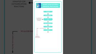 Essential Pentosuria Uronic acid Pathway biochemistry neetpg  fmge  inicet  next [upl. by Aleris]