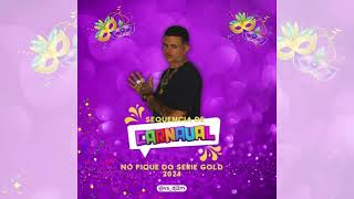 SEQUENCIA DE CARNAVAL NO PIQUE DO SERIE GOLD 2024 DJ 2M O RITMADO [upl. by Adnamas]