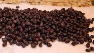 Preserving Arbequina Black Olives  Part 2 of 2 [upl. by Bailie]