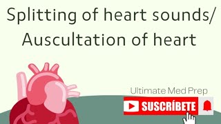 Splitting of heart sounds auscultation of heartpathological heart sounds [upl. by Adolph556]