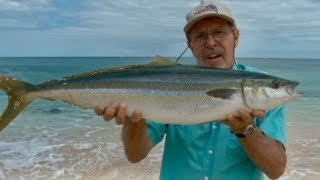 Fishing a Remote Island  Unreal [upl. by Nador]