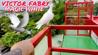 EP679  ASTIG NG VICTOR FABRY WHITE [upl. by Tadeo]