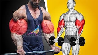 Most Effective Biceps and Triceps Workout at Gym [upl. by Odericus]