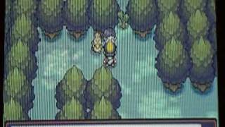 Pokemon Heart Gold Walkthrough Episode 14 Fetching FarFetchd [upl. by Ademordna779]