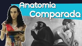 Anatomia comparada [upl. by Kenway]