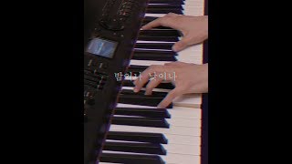 밤이나 낮이나  piano cover [upl. by Enilec]