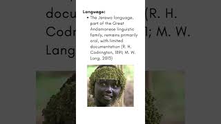 Ep15 Explained Jarawa Tribe upsc anthropology paper2 civilserviceexam tribesofindia india [upl. by Attikram]