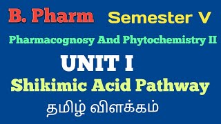 Shikimic Acid Pathway Tamil Explanation [upl. by Smalley337]