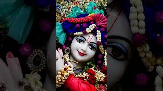 Hai krishna govind hare murari🙏❣️🤗 krishnabhajan harekrishna love whatsappstatus [upl. by Navap193]