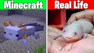 Realistic minecraft  Realistic water  ALL MINECRAFT MOBS VS REAL LIFE [upl. by Arayc976]