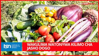 WAKULIMA WATONYWA KILIMO CHA JASHO DOGO [upl. by Alaehs]