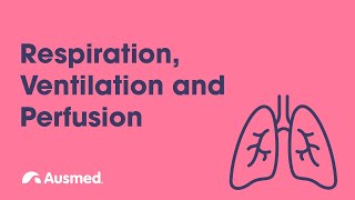 Respiration Ventilation Diffusion and Perfusion  Ausmed Explains [upl. by Adnema]