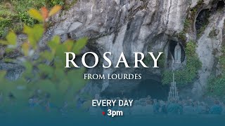 Rosary from Lourdes  29062024 [upl. by Petras]