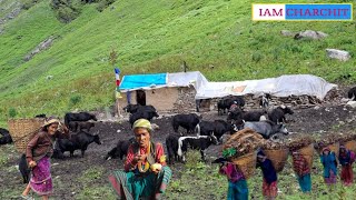 Discovering The Secrets Of Living In Balance With Nature In NepalNepali Mountain Village Life [upl. by Aken]