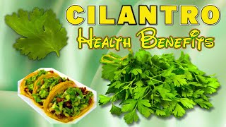 Unlocking the Health Benefits of Cilantro A Super Herb cilantro cilantrohealth cilantrobenefits [upl. by Vally138]