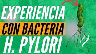 Mi Experiencia Con La Bacteria Helicobacter Pylori [upl. by Bronder79]