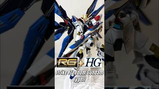 RGHG Strike Freedom Gundam TypeII gundam gunpla gundamseed gundamseedfreedom ガンダム bandai [upl. by Adnirim]