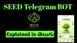 SEED telegram mining bot explained in telugu 300 seed mining ఎలా చేయాలి [upl. by Leonerd81]