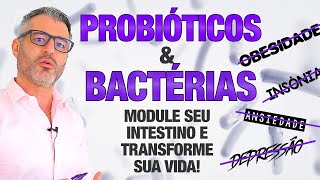 PROBIÓTICOS podem transformar sua saúde 🦠💊💩 [upl. by Haramat]