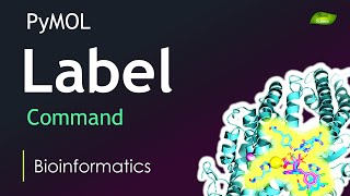 PyMOL Tutorial  Label Command  Molecule Visualization  Bioinformatics  Basic Science Series [upl. by Cass80]