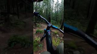 2025 ​⁠​⁠orbea Wild first laps ​⁠GoPro bike mtb new [upl. by Aprile134]