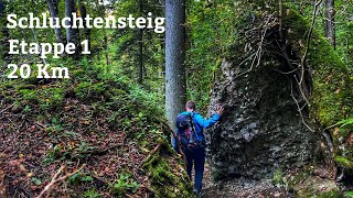 119 Km Schluchtensteig im Schwarzwald Etappe 1 [upl. by Kissee943]