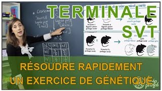 Résoudre rapidement un exercice de génétique  SVT Terminale S  Les Bons Profs [upl. by Are]