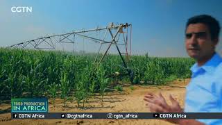 FOOD IN AFRICA Egypt moves to develop irrigation systems to save water boost productivity [upl. by Thetes467]