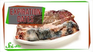 What Do Food Expiration Dates Actually Mean [upl. by Nylaehs]