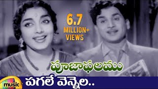 ANR Hits  Pooja Phalam Movie Songs  Pagale Vennela Video Song  Savitri  Jamuna  Mango Music [upl. by Anhsirk]