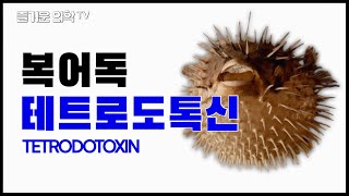 복어독테트로도톡신 독성은 청산가리의 1000배 feat 캡틴아메리키 윈터솔져 [upl. by Fidele774]