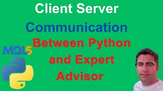 Implementing communication between python server and Expert advisor through shared folder [upl. by Sabir]