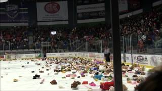 2013 Utica College Teddy Bear Toss [upl. by Hanahs]