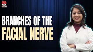 Branches Of The Facial Nerve by Dr Apurva  NORCET 80  Nursing Next Live  NNL ONE [upl. by Kilgore313]