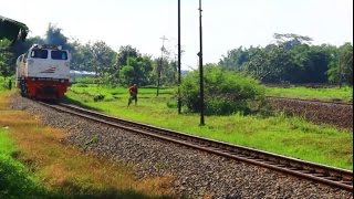 Kereta Api Purwojaya Ditarik Lokomotif Baru Seri CC206 [upl. by Nylhsoj]