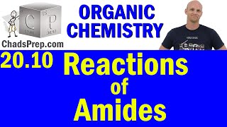 2010 Synthesis and Reactions of Amides  Organic Chemistry [upl. by Yerac]