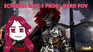 Lost Ark  Echidna Gate 1 NM Prog Shield Side  Bard [upl. by Lledra]