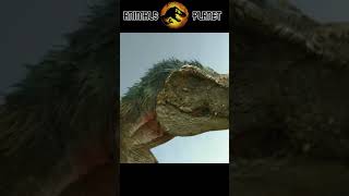 Tyrannosaurus Rex vs Triceratops Fight Scene 💪shorts triceratops dinosaurs [upl. by Valiant]