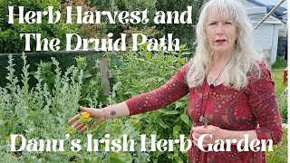 Herb Harvest and The Druid Path [upl. by Aihsik]