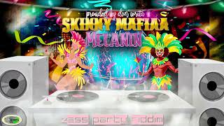 Skinny Mafiaa  Melanin  Zess Party Riddim Crop Over 2024 [upl. by Einnoc105]