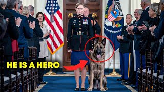 Sergeants Service Dog is Barred from the Plane Days Later She Gets a Shocking Call [upl. by Atnauqal]