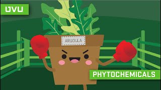 Phytochemicals Explained in Under 2 Minutes [upl. by Adiazteb]