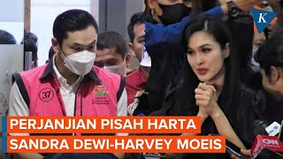 Sandra Dewi Punya Perjanjian Pisah Harta dengan Harvey Moeis [upl. by Nonek]