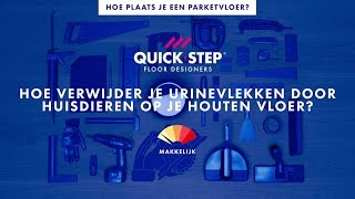 Hoe verwijder je urinevlekken door huisdieren op je houten vloer  QuickSteptutorial [upl. by Huda]