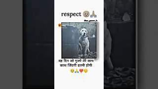 motivation shorts ytshorts vah din Jo gujre tere sath khas jindagi itni hogi jimee Dog [upl. by Yorker]