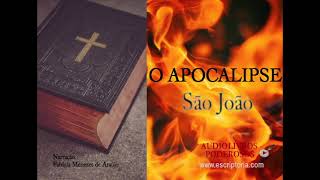 O Apocalipse São Joao Audiobook [upl. by Player]