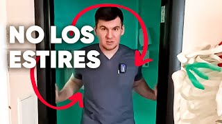 Nunca estires estos músculos ¡Está prohibido para todos estirar estos músculos [upl. by Hoeve683]