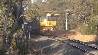 7901V at Maryborough Sat 12 October 2024 [upl. by Gerhardine]