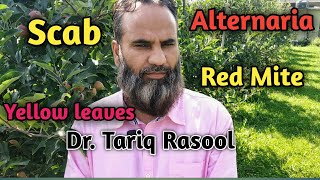 Alternaria  Scab  Yellow Leaves  Red Mite  Dr Tariq Rasool  Hortikashmir [upl. by Aicekan]